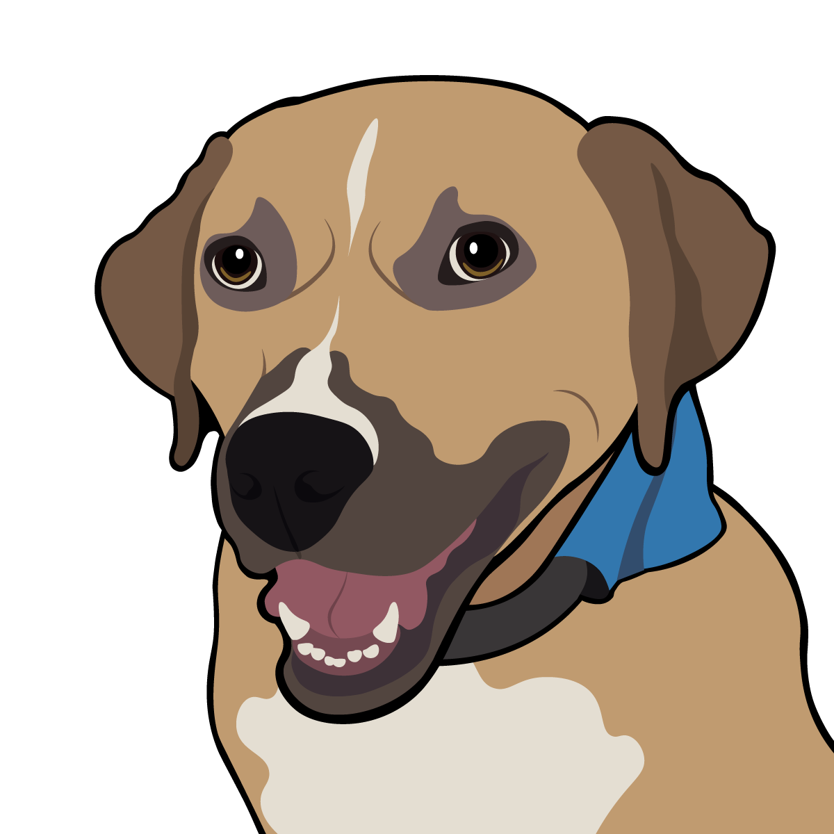 DJ & Brandy's Wedding